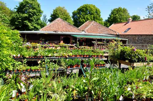 Craster Tower Stable Yard Nursery