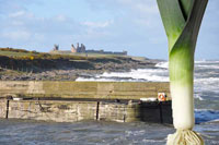 Craster Leek Club