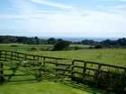 View form the breakfast table