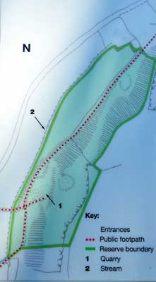 Map of Arnold Reserve